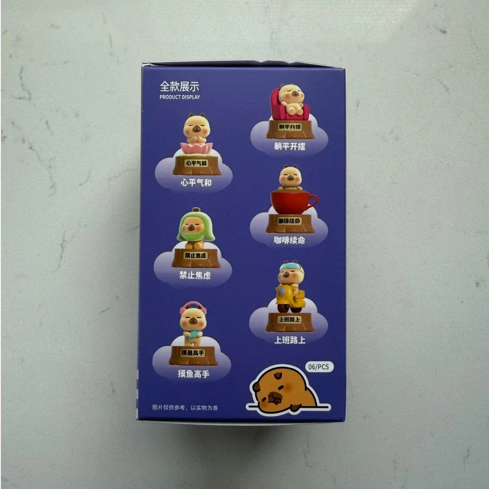 Sunny & Sandy CapyBara PIMOO Blind Box Sealed Collectible Figure 1 Random Toy